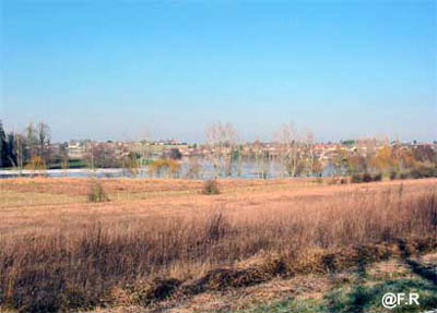 lac13