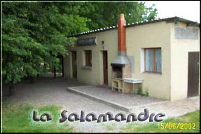 restaurant...