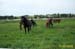 equit1
